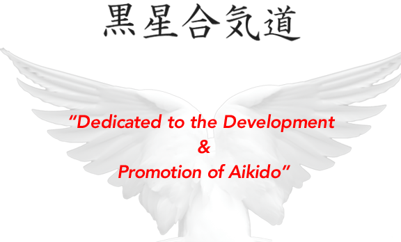 Dedicated to the Development and Promotion of Aikido